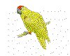 CLIP0040.IFF.cst.iff