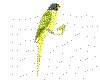 CLIP0039.IFF.cst.iff
