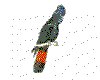 CLIP0036.IFF.cst.iff