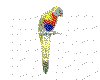 CLIP0035.IFF.cst.iff