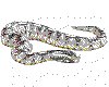 CLIP0044.IFF.cst.iff