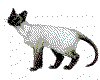 CLIP0016.IFF.cst.iff
