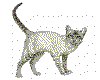 CLIP0006.IFF.cst.iff