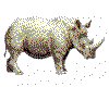 CLIP0146.IFF.cst.iff