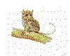 CLIP0135.IFF.cst.iff