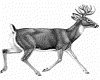 CLIP0040.IFF.gst.iff