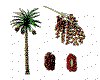 CLIP0017.IFF.cst.iff