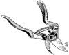 CLIP0100.IFF.gst.iff