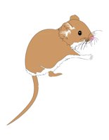 04A075.pct