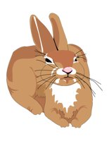04A084.pct