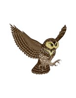 06D097.pct