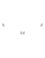 10A002.pct