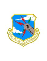 12A033.pct