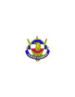 12B251.pct