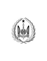 12D052.pct