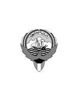 12D111.pct