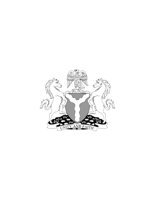 12D138.pct