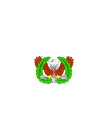 12D224.pct