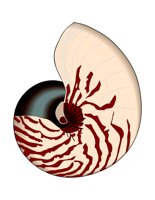13B015.pct