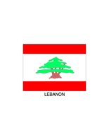 19G008.pct
