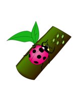 23B050.pct