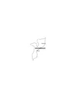 29A028.pct