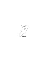 29A037.pct