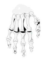 30A030.pct