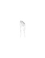 30C044.pct