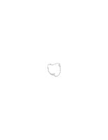 31C005.pct