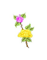 35A012.pct