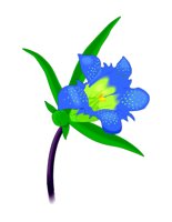 35C050.pct