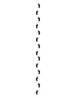 39B017.pct