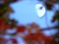 675100.PICT