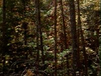 676300.PICT