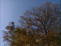676500.PICT