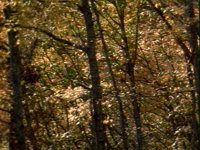 676700.PICT