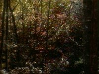 676800.PICT