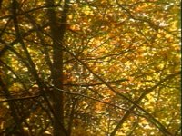 677200.PICT