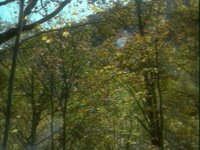 678000.PICT