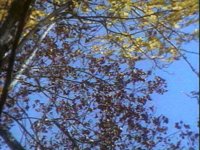 678900.PICT