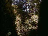 682400.PICT