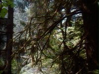 683300.PICT