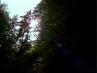 685300.PICT