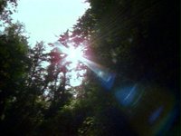 685400.PICT