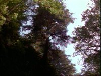 685500.PICT