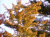 688400.PICT