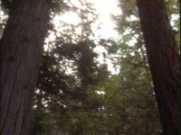 688700.PICT