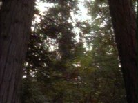 688800.PICT