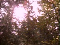 688900.PICT